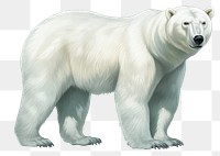 PNG Polar bear wildlife mammal animal. AI generated Image by rawpixel.