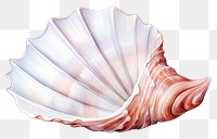 PNG A detailed illustration of a seashell with a spiral design. The seashell features soft pink and white hues, showcasing its natural, intricate patterns. 