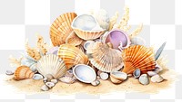 PNG Sea shells seashell seafood clam. 