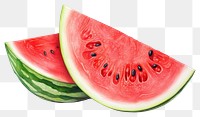 PNG Watermelon fruit plant food. 