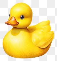 PNG Rubber duck animal yellow bird. 