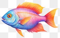 PNG Fish goldfish cartoon drawing. 