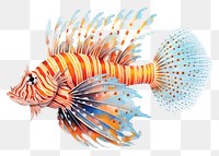 PNG Lion fish drawing cartoon animal. 