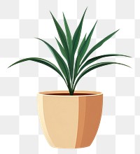 PNG Indoor plant houseplant flowerpot pineapple. 