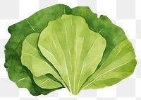 PNG Lettuce vegetable plant food. AI generated Image by rawpixel.