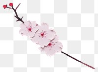 PNG Sakura flower blossom petal plant. AI generated Image by rawpixel.