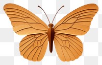 PNG Butterfly insect animal  