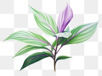 PNG Plant flower leaf  