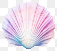 PNG Sea shell seashell clam  