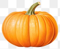 PNG Halloween vegetable pumpkin plant. 