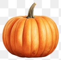 PNG Halloween pumpkin vegetable halloween. 