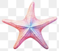 PNG Star fish starfish red  