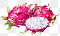 PNG Dragon fruits flower plant petal. 