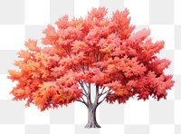 PNG Maple tree drawing autumn plant. AI generated Image by rawpixel.