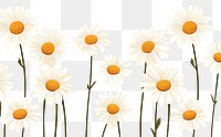 PNG Daisy backgrounds wallpaper flower. 