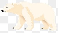 PNG Polar bear wildlife animal mammal. 