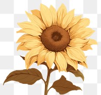 PNG Sunflower plant inflorescence asterales. AI generated Image by rawpixel.