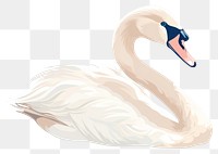 PNG Swan wildlife animal bird. AI generated Image by rawpixel.