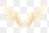 PNG Angel bird archangel feather. 