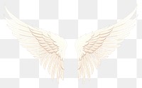 PNG Wings angel bird creativity. AI generated Image by rawpixel.