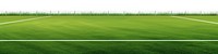 PNG Soccer field backgrounds outdoors grass. 