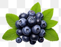 PNG Blueberry fruit plant food. AI generated Image by rawpixel.