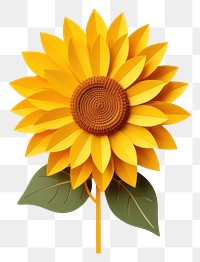 PNG Sunflower plant white background inflorescence. 