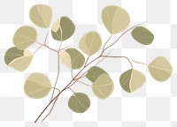 PNG Eucalyptus plant leaf pattern. AI generated Image by rawpixel.