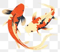 PNG Two koi fish animal underwater goldfish. 