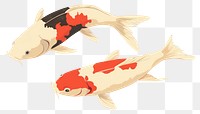 PNG Two koi fish animal underwater goldfish. 