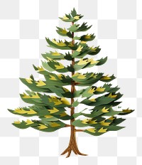 PNG Pine tree christmas plant creativity. 