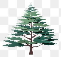 PNG Pine tree christmas plant  