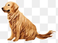 PNG Golden Retriever dog retriever animal mammal. 