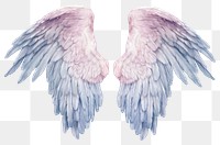 PNG Angel wings bird white background archangel. 