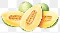 PNG Tropical fruits melon plant food. AI generated Image by rawpixel.