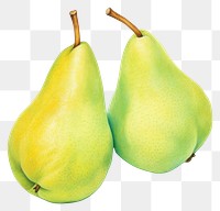 PNG Pears fruit plant food. 