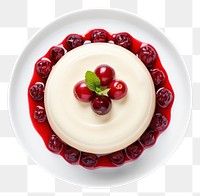 PNG Pudding dessert fruit cream. 