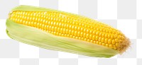 PNG Corn plant food  