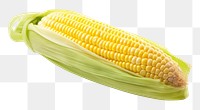 PNG Corn plant food  