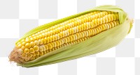 PNG Corn plant food  