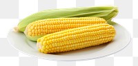 PNG Plate corn plant food. 