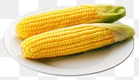 PNG Plate corn plant food. 