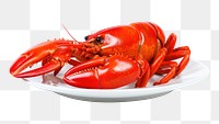 PNG Crawfish lobster seafood animal. AI generated Image by rawpixel.