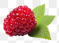 PNG Raspberry fruit plant food. 