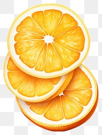 PNG Fresh orange slices grapefruit lemon plant. 