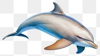 PNG Dolphin animal mammal fish. desktop wallpaper