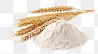 PNG Wheat food ingredient triticale. AI generated Image by rawpixel.