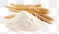 PNG Wheat food ingredient triticale. 