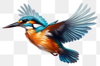 PNG Kingfisher animal flying bird