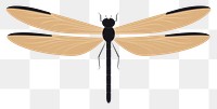 PNG Dragonfly wildlife insect animal. 